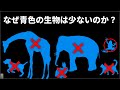 【未解決問題】エネルギーの観点から考える生物の色