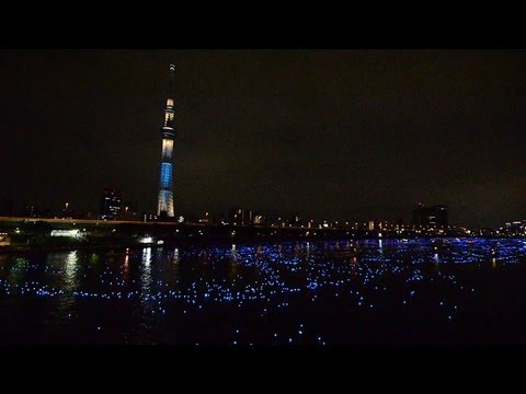 東京スカイツリーと東京ホタル2013