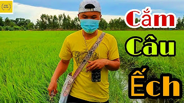 #35 Cắm Câu Ếch Mồi Ốc Bươu Vàng Mùa Lúa Trổ || Học vlog