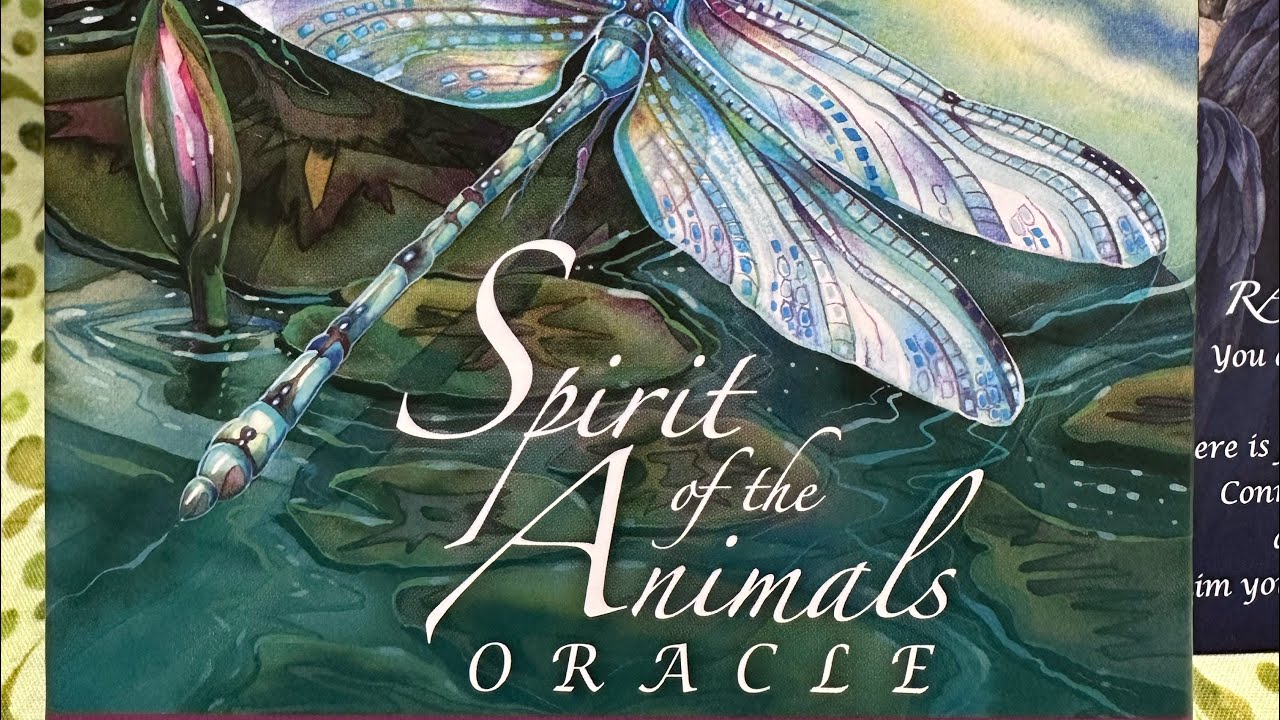 Spirit of the Animals oracle deck walk through/ flip through and tarot reading