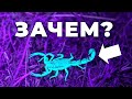 Зачем скорпионам флуоресценция? [Veritasium]