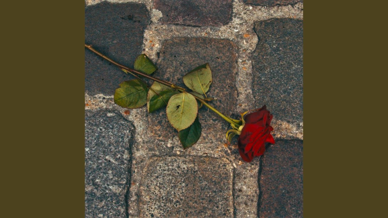 Obejrzyj ISIT? w YouTube Obejrzyj ISIT? w YouTube