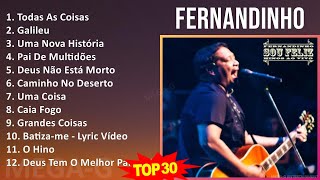 F e r n a n d i n h o 2024 MIX As Melhores (20 músicas) ~