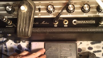 Companion fuzz & Super Fuzz