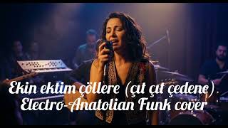 Ekin Ektim Çöllere (Çıt Çıt Çedene)