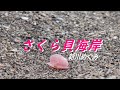 さくら貝海岸/新川めぐみ/Cover By ke-ko