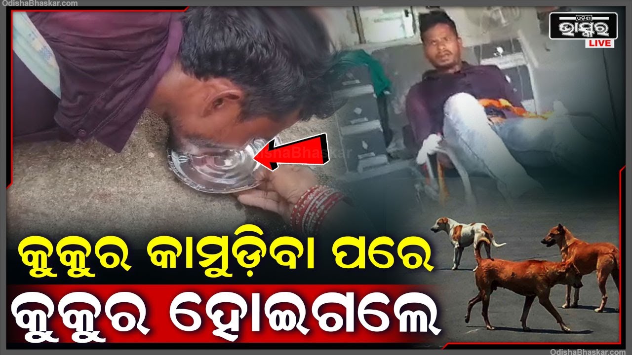 କୁକୁର କାମୁଡ଼ିବା ପରେ ଜଣେ ଯୁବକ କୁକୁର ଭଳି ହୋଇଯାଇଛନ୍ତି । କରୁଛନ୍ତି କୁକୁର ପରି ଆଚରଣ I