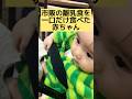 【生後11ヶ月】👶市販の離乳食食べれるやつないかなぁ👶#赤ちゃん #赤ちゃんのいる生活 #かわいい