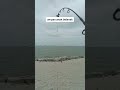 catch and release guna umpan belanak