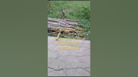 Plot available on Parsa Patna Bihar #realestate