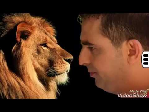 نعيم الشيخ وصفك يحير العين