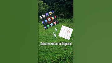 Masking ( Selective Feature ) in Snapseed #shorts