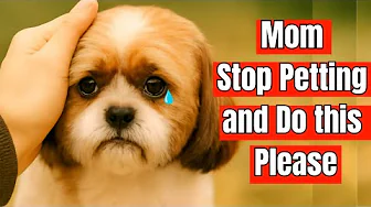 18 Science Proven Secrets That Make Your Dog Happy and Healthy – But You Ignore Them Every Day
