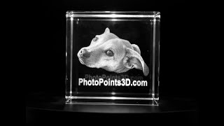 PhotoPoints3D.com Actual Crystal Engraving Sample