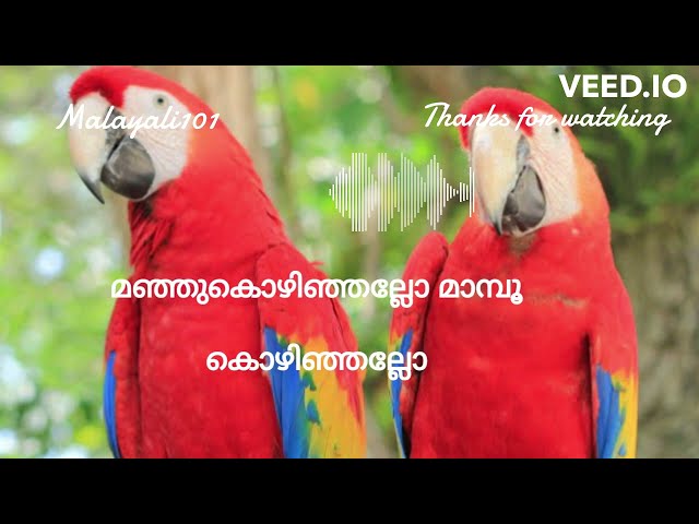 മാണിക്യ വീണയുമായെന്‍ with lyrics Manikya Veenayumayen Manasinte song class=