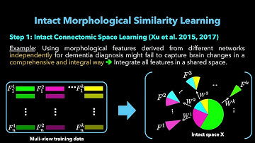 Intact Connectional Morphometricity Learning (Bessadok et al. MICCAI CNI 2018, Granada)