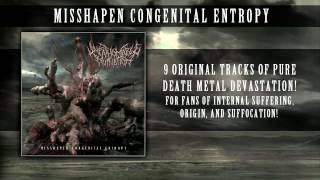 Unfathomable Ruination - Carved Inherent Delusion