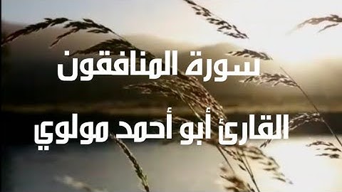 سورة المنافقون - قراءة مجودة بصوت هادئ وجميل القارئ أبو أحمد مولوي