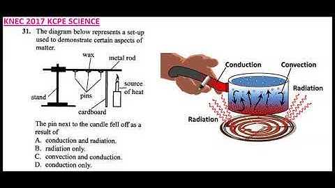 2017 KCPE SCIENCE QUESTION 31