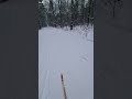 лыжные гонки