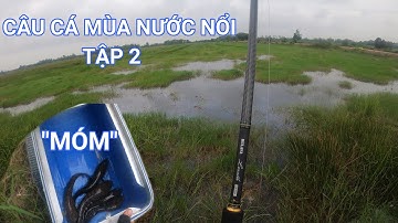 Câu lũ Thạnh Hóa - Long An -Tập 2. Câu lũ chua quá,chút nữa là "móm" | FISHINGTV-62 | #caloc62-06