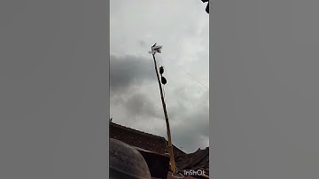 nembak wifi tetangga mode wisp part 1 tp link wr840n