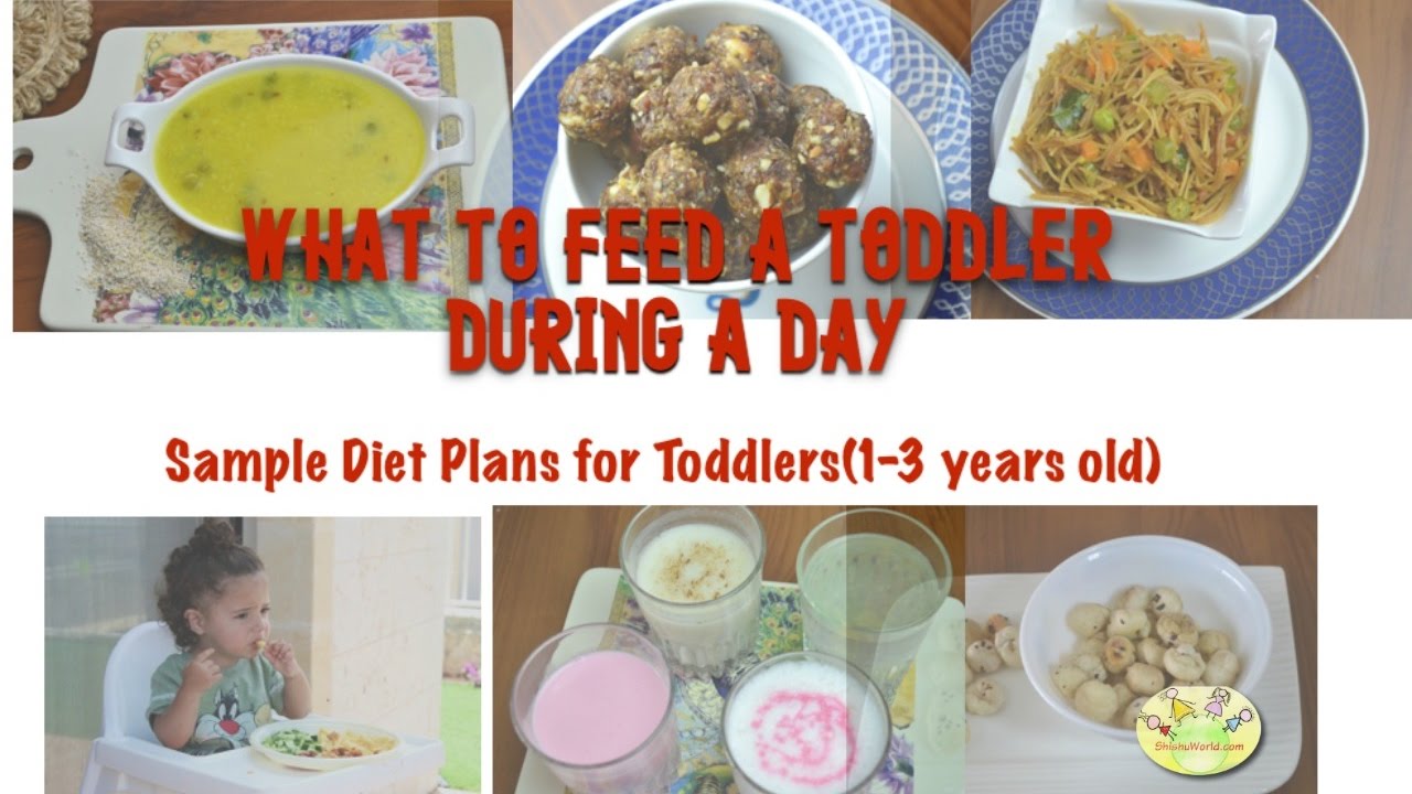 What to feed a toddler during a day Meal ideas for Toddlers ( 13