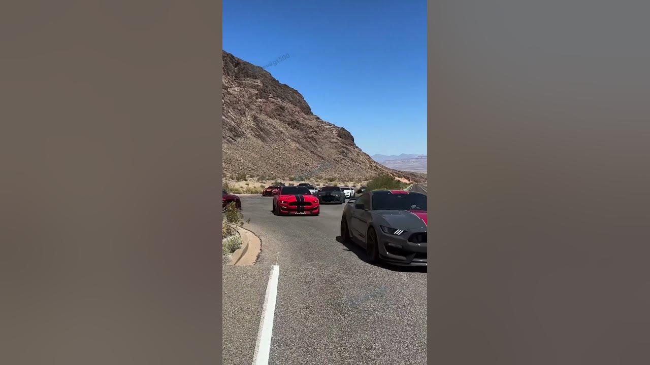Listen to all of those 5 2l v8 s scream shelby mustang ford youtube