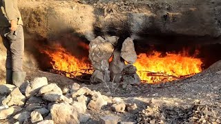 DIY  Making a Cave Shelter with FIRE  Bushcraft Camp with my Dog in the Wild, Nature Documentary