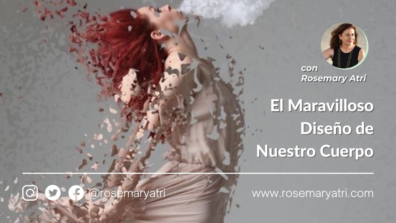 Descubre un espacio creado para tu bienestar 🌿