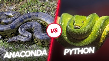 Anaconda vs Python: The Ultimate Showdown!