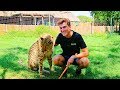 My Best Travel Experience: Volunteering with Big Cats in South Africa