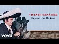 Vicente Fernández Déjame Que Me Vaya Letra Lyrics Vicente Fernández Déjame Que Me Vaya Letra Lyrics