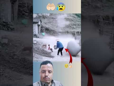 شعور الكلب بهلاك اطفل فينقذه ويحميه حيوانات      