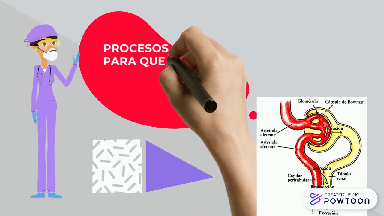 Profarmaco PROFÁRMACO. - YouTube