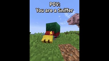 POV: You are the Minecraft Sniffer (new mob 1.20 snapshot) | Spectating mobs in Minecraft