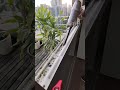 Hate Dust? Try This Vacuum Cleaner