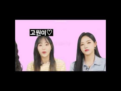 ISTP OLIVIA HYE VS. ENFP CHUU [LINK ON THE COMMENT SECTION]LOONA/이달의소녀