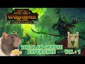 The Clan Skryre Experience | Skaven Experience | Volume : 1 |
