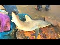 வஞ்சிரம் மீன் (ம) சுறா மீன் / Seer Fish & Shark Fish Cutting Skill / India Fish Market / CT 360*🔪