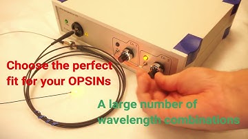 OptoGenetics LED STSI