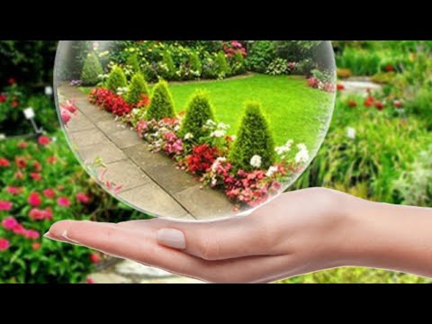 Video: Šta mogu posaditi u svom vrtu u Iowi?