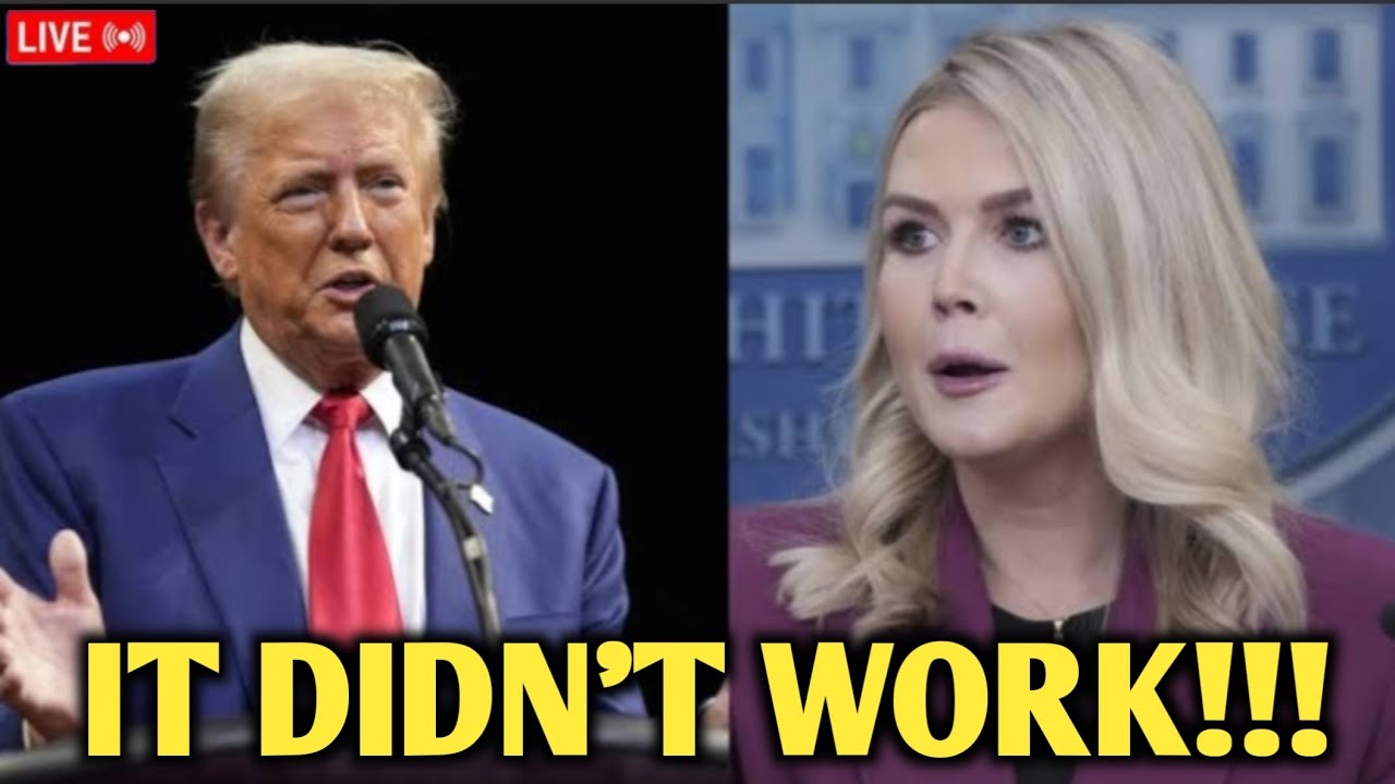 Karoline SLIPS UP as Greenland PLOT UNRAVELS | david pakman | meidas | adam mockler