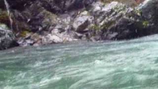 sfg smith river