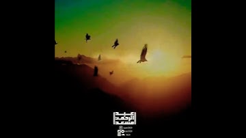 عبدالرحمن مسعد  |  واذا اذقنا الناس رحمة من بعد ضراء مستهم  | حالات وتساب قران كريم | ايه قصيره