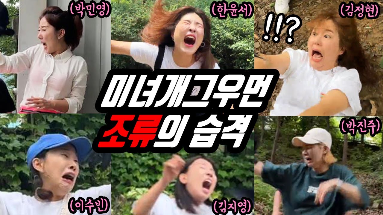미녀개그우먼 까마귀 습격사건 모음집 ㅋㅋㅋ 개꿀잼 시간순삭