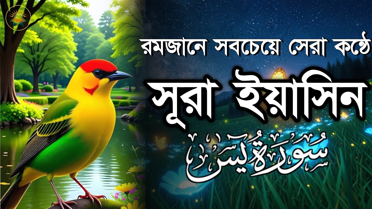 অন্তর জুড়ানো কন্ঠে সূরা ইয়াসিন । Most Beautiful, Heart Touching Recitation of Surah Yasin