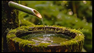 Calm Forest Atmosphere – Flowing Water & Subtle Nature Sounds