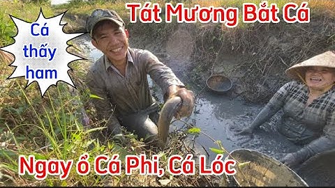 Tát Mương Bắt Cá về làm Bữa Cơm Chiều Hấp Dẫn| Cá Lóc,Cá Phi bắt mỏi tay #tutrinhvlog #trend #2023
