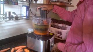 MORPHY RICHARDS Food processor